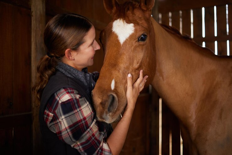 Equine Therapy Products